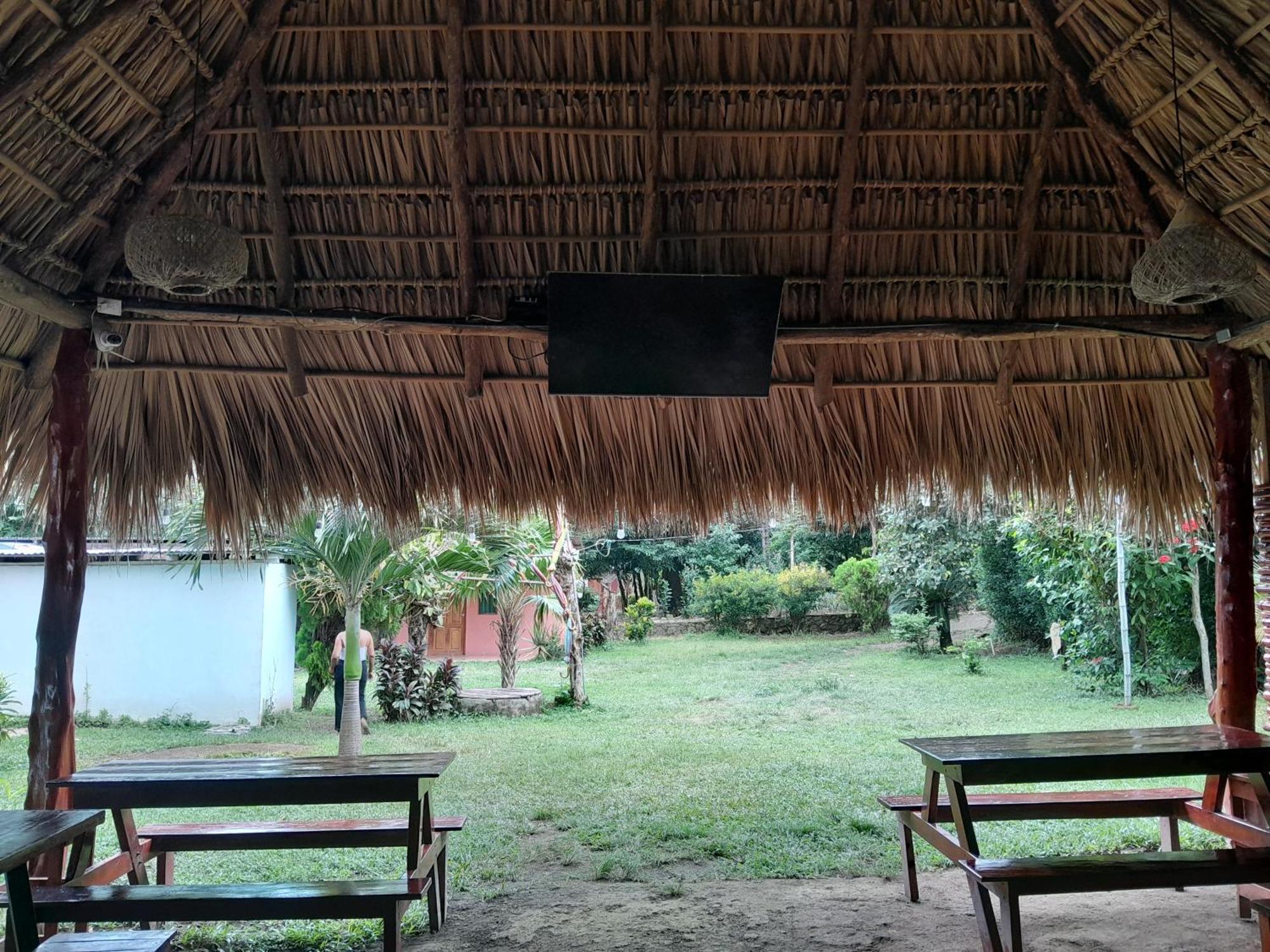 Hostel Los Chocoyos Mérida Екстериор снимка